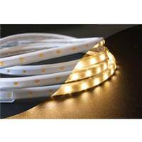 12' Warm White 36 watt 120 volt 3000K Dimmable LED Tape Rope Hybrid 12' Warm White 36 watt 120 volt 3000K Dimmable LED Tape Rope Hybrid